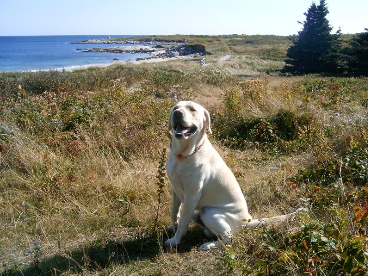 sam at the beach.JPG